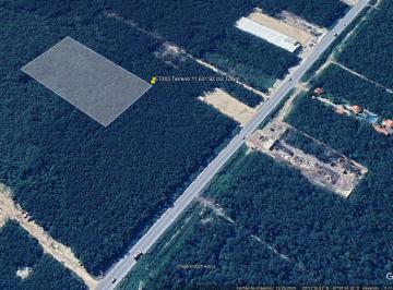 Terreno / Lote · 11631m² · Terreno de 11,631.92 m² en Tulum