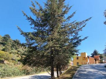 Terreno / Lote , Mineral del Monte · Terreno Rustico a Pie de Carretera en Venta en Real del Monte Hidalgo
