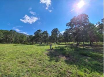 Terreno / Lote , Arteaga · Venta de Terreno en El Ejido El Potrero en Arteaga Coahuila