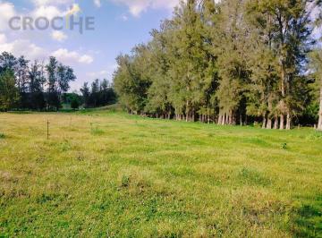 Terreno / Lote · 1807m² · Terreno en Venta Fraccionamiento Manantial Zona Coapexpan, Xalapa, Veracruz.