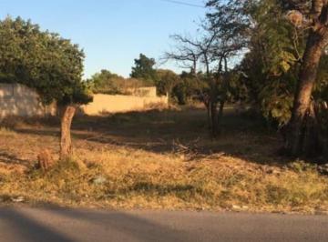 Terreno / Lote · 3000m² · Terreno en Venta Para Inversionistas, 3,000 m Esctiturado, Atlacholoaya, Xochitepec Morelos