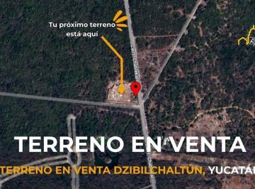 Terreno / Lote , Mérida · Terreno en Venta Dzibilchaltún, Yucatán