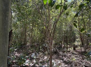 Terreno / Lote · 2500m² · Land in Tulum