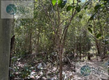 Terreno / Lote · 2500m² · Land in Tulum