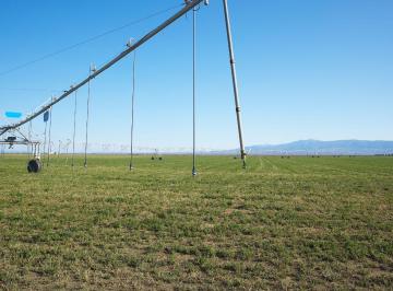 Rancho , Celaya · Venta Rancho de Riego 60 Hectáreas Rectangular