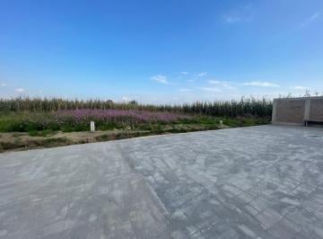 Terreno / Lote , Metepec · Terreno en Venta Ocotitlan, Metepec, Se Acepta Credito Infonavit