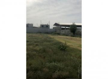 Terreno / Lote , Apodaca · Terreno en Renta en Apodaca El Mezquital