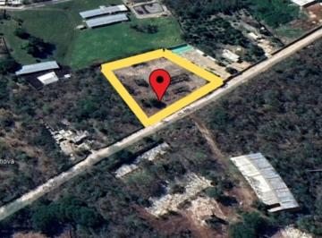 Terreno / Lote , Ucú · Terreno en Venta Ucú Yucatán