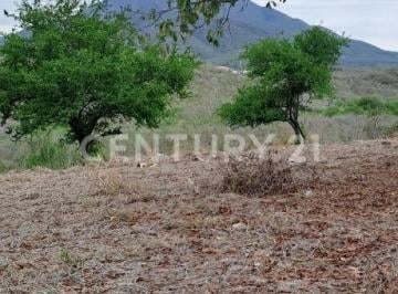 Terreno / Lote · 11644m² · Terreno en Venta en Allende Nuevo Leon