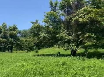 Terreno / Lote · 45000m² · Terreno en Venta en Aquismón