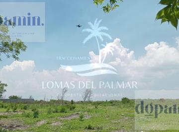 Terreno / Lote · 600m² · Terreno en Buenavista