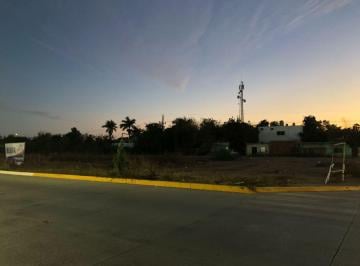 Terreno comercial , Guasave · Terrenos en Renta Esquina Sobre Blvd Comision del Rio Fuerte y Benito Jaurez