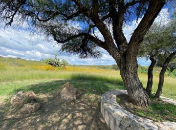 Terreno / Lote · 1000m² · ¡En Venta! Terreno de 1,000 m² en Ags