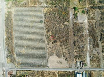 Terreno / Lote , Tlajomulco de Zúñiga · Terreno en Venta – Mesa de La Cruz, Tlajomulco, Jalisco