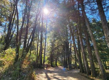 Terreno / Lote · 1500m² · Terreno en Venta - (4)