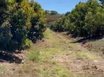 Rancho de 4 habitaciones, Mixtlán · Rancho en Venta Mixtlan Jalisco