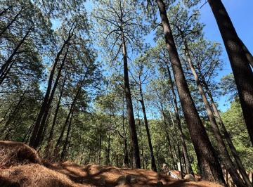 Terreno / Lote , Mazamitla · Terreno en Venta, Fracc. Las Azaleas en Mazamitla, Jalisco