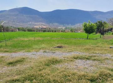 Terreno / Lote · 7000m² · Terreno Ejidal en Venta en Emiliano Zapata, Morelos