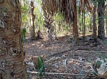 Terreno / Lote · 1550000m² · Terreno, Hectáreas en Campeche