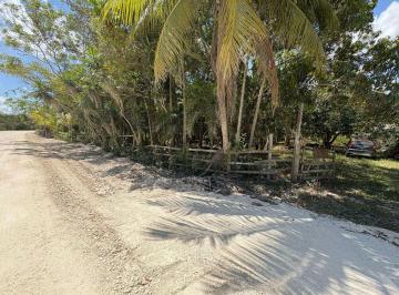 Terreno / Lote , Othón P. Blanco · Propiedad en Venta de 15.5 Has Cerca de Bacalar