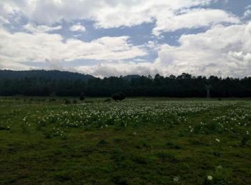 Terreno / Lote · 146000m² · Terreno en Santiago Tianguistenco de Galeana