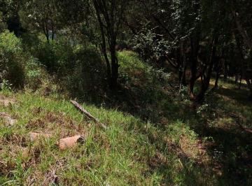 Terreno / Lote , Huasca de Ocampo · Terreno en Venta en Bosques de Omitlán, Huasca Hidalgo! ️