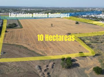 Terreno / Lote · 100000m² · Lote de 10 Ha Acceso Desde Carretera, Plano Limpio