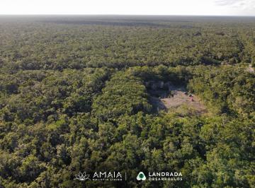 Terreno / Lote · 500m² · Terreno en Venta en Tulum