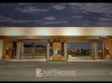 Terreno / Lote , Saltillo · Venta de Terrenos Fracc. Punta Bosque Al Norte de Saltillo