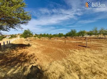 Terreno / Lote · 5000m² · Terreno en Venta en Fracc. El Pilar Durango