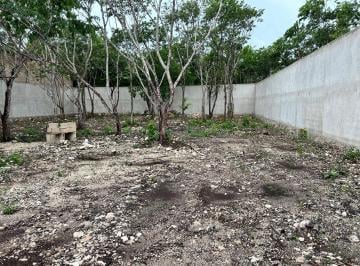 Terreno / Lote , Benito Juárez · Terreno Renta Cancun