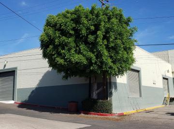 Nave industrial , Tijuana · Se Rentan Bodegas en Zona Centro Pmr - 964