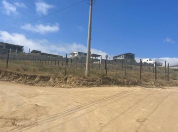 Terreno / Lote · 200m² · Terreno en Esquina en Primo Tapia Parte Alta - (4)