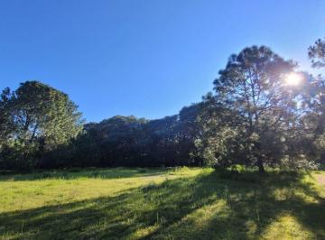 Terreno / Lote , Tala · Terreno en Venta en Bosque de La Primavera | Lote 8 | 4,536.88 m²