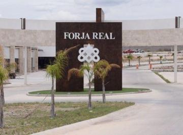 Terreno / Lote · 142m² · Terreno Residencial en Venta - Forja Real, Mexquitic de Carmona, Slp.