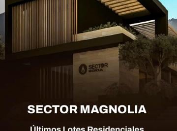 Terreno / Lote · 312m² · Terreno - Fraccionamiento Bosques de Las Misiones