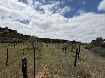 Terreno / Lote , Ensenada · Terreno en Venta en Valle de Guadalupe