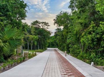 Terreno / Lote · 616m² · Terreno en Venta en Cd. Mayakoba, Playa del Carmen, Q. R.