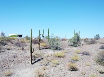 Terreno / Lote , La Paz · Terrenos en Maravia | Cerca de Playa Tecolote | Desde 836 m²