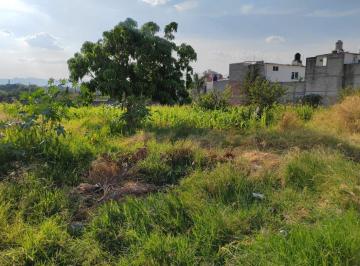 Terreno / Lote · 200m² · Terreno Campestre en Acapatzingo Cuernavaca - Maz - 2315 - Tca