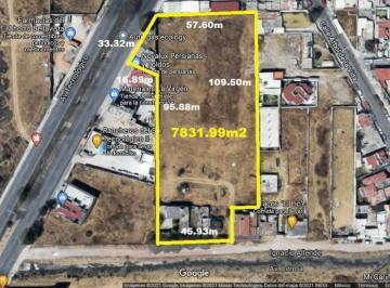 Terreno / Lote · 7831m² · Terreno - Bellavista