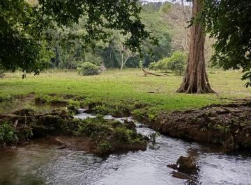 Rancho , Ocosingo · Venta de Hermoso Rancho de 93 Hectáreas Orilla Carretera Cháncala - Benemérito