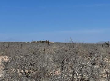 Terreno / Lote , La Paz · Terreno Rustico en Venta en La Playitas Todos Santos