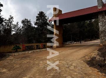 Terreno / Lote , San Cristóbal de las Casas · Se Vende Terreno en Zona Arbolada Cerca de Bosques del Sur
