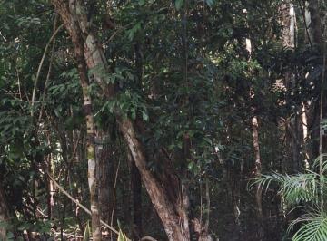 Lote residencial concepto ecosustentable
Acceso privado
Seguridad
Escriturado
A · Terreno 2 Hectáreas Tulum - Coba
