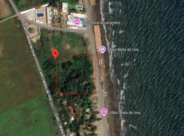 Terreno / Lote , Alvarado · Oportunidad Única de Inversión, Venta de Terreno de Ensueño, con Vista Al Mar, ¡No Te Lo Pierdas!