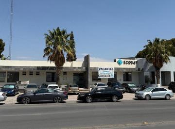 Edificio , Chihuahua · Oficina en Renta Av División del Norte