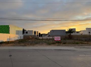 Terreno comercial 900ha Renta Adolfo Ruiz Cortines · Renta de Terreno Comercial (900 M²)