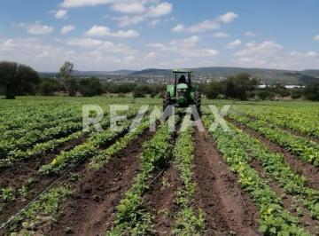 Terreno comercial · 146120m² · Terreno Comercial en Ajuchitlán, Querétaro - (4)