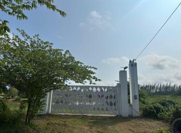 Terreno / Lote · 10000m² · Terreno en Venta Rancho Santo Tomás - (4)